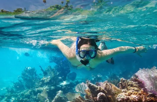 Snorkelling