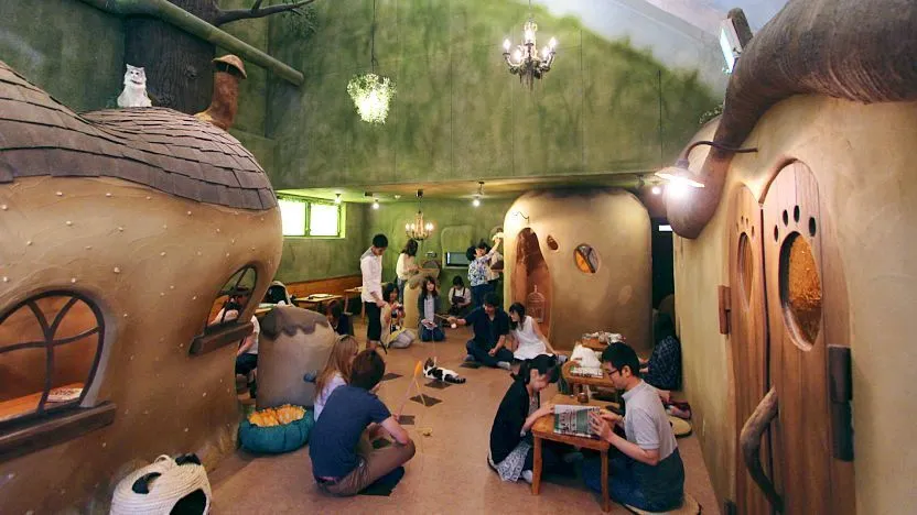 Pet Cafe