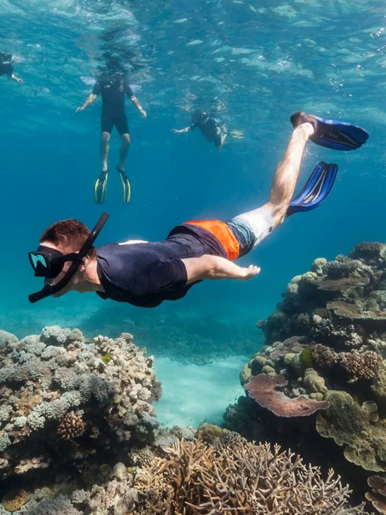 Snorkelling