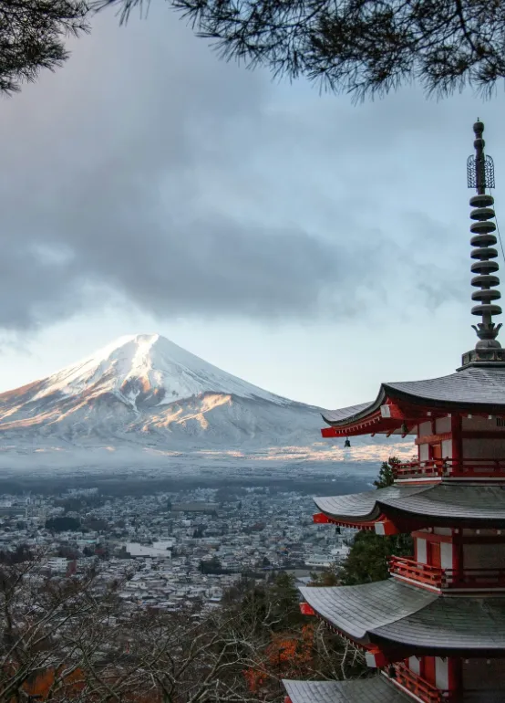 Fuji Views