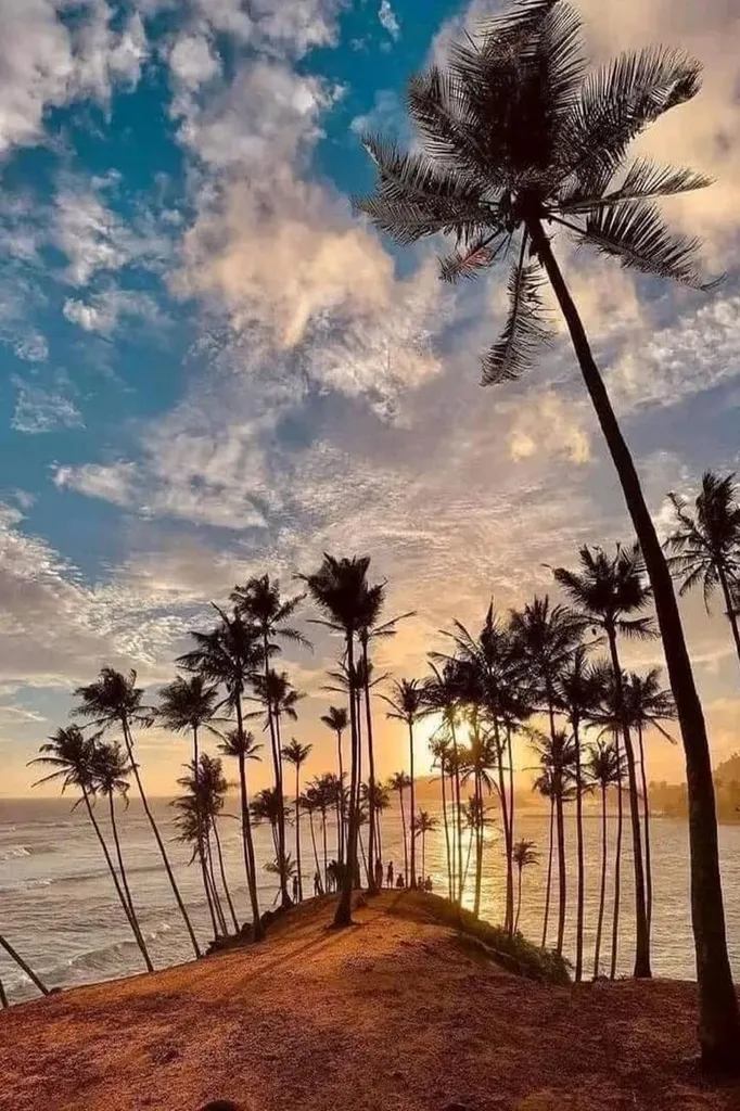 Coconut Hill