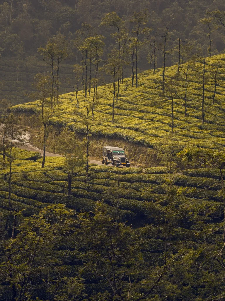 Munnar Sightseeing