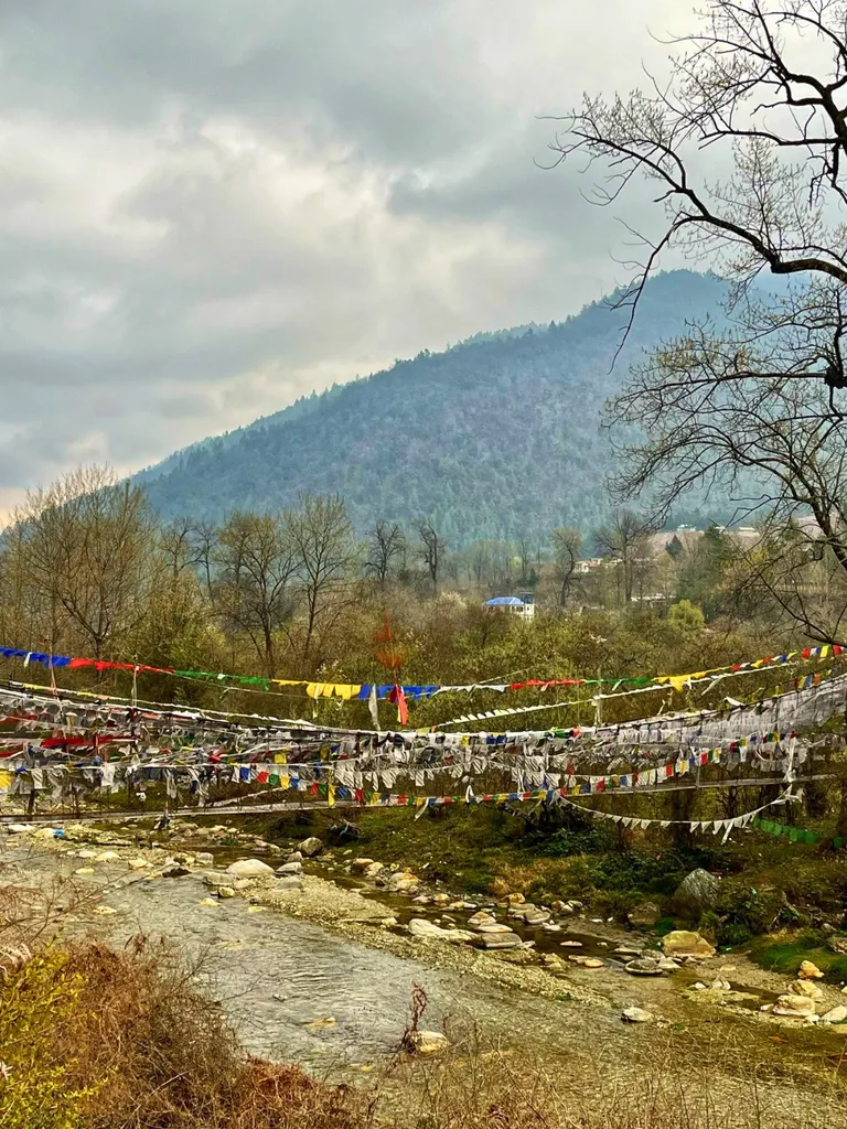 Tawang to Shergaon