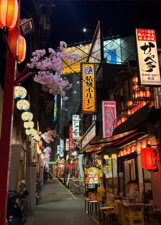 Farewell Japan