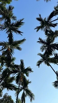 A moment from a Boketto trip
