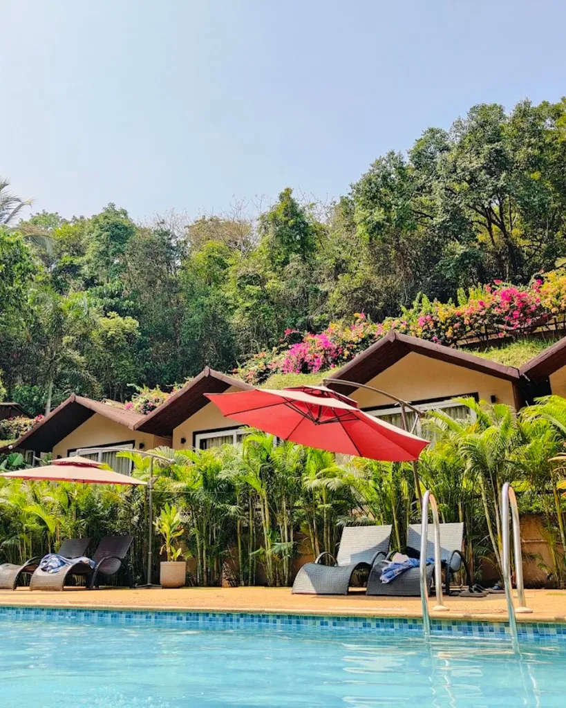 Stonewood, Gokarna