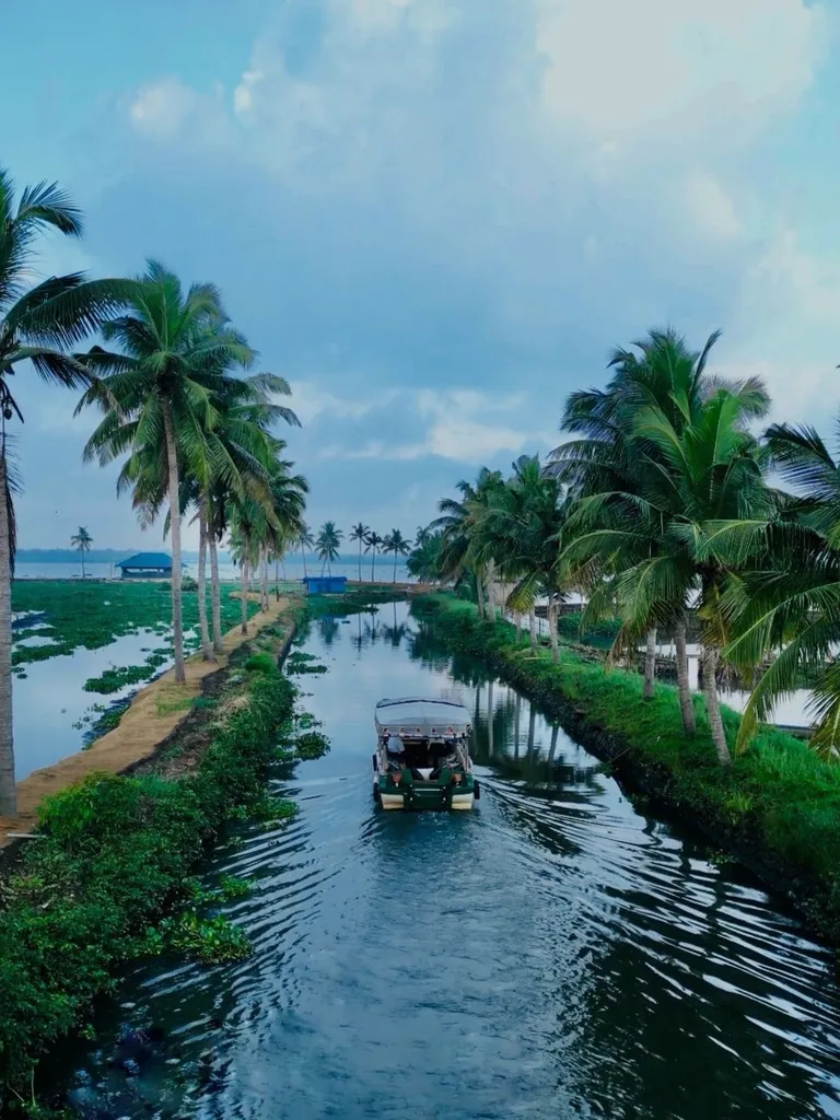 Arrival in Kochi