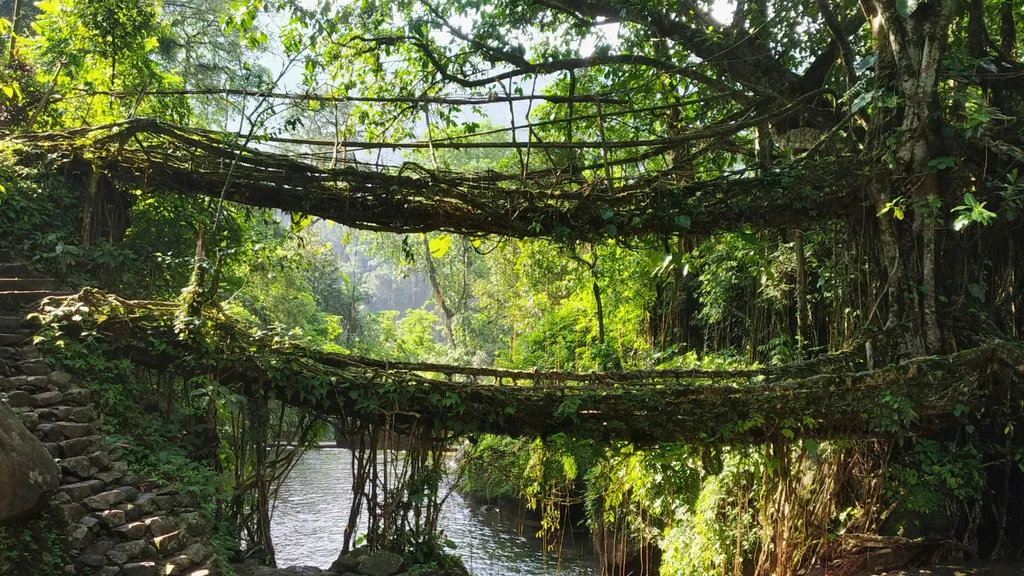 Meghalaya - New Year