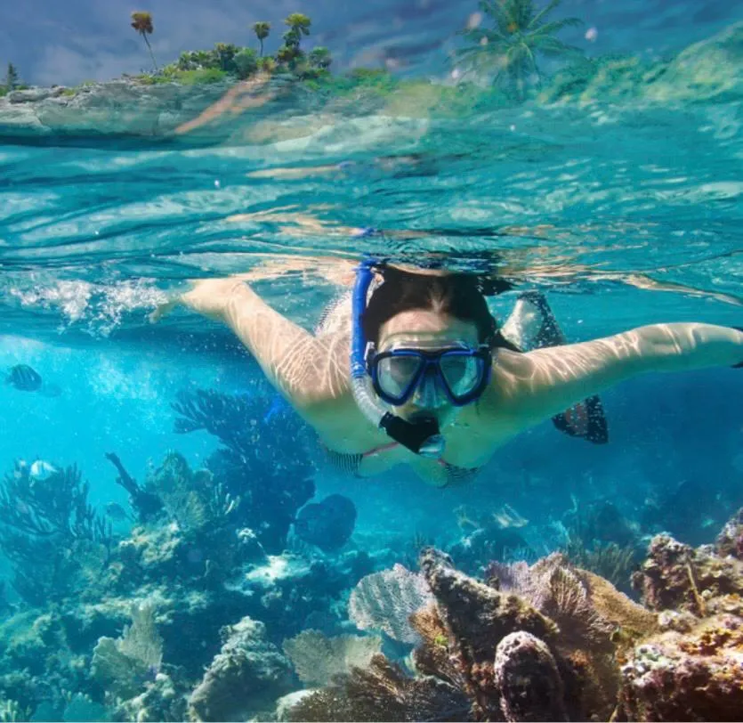 Snorkelling