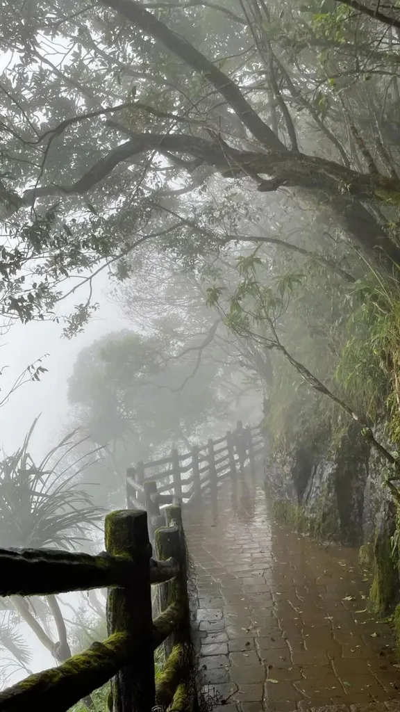 Meghalaya with Kaziranga