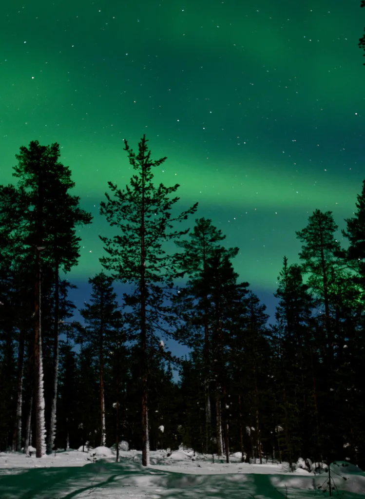 Northern Lights
