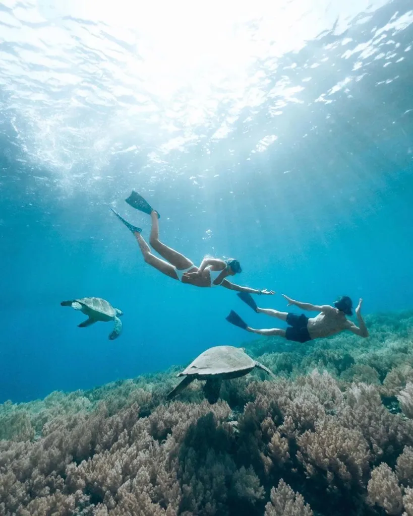 Scuba Diving experience 