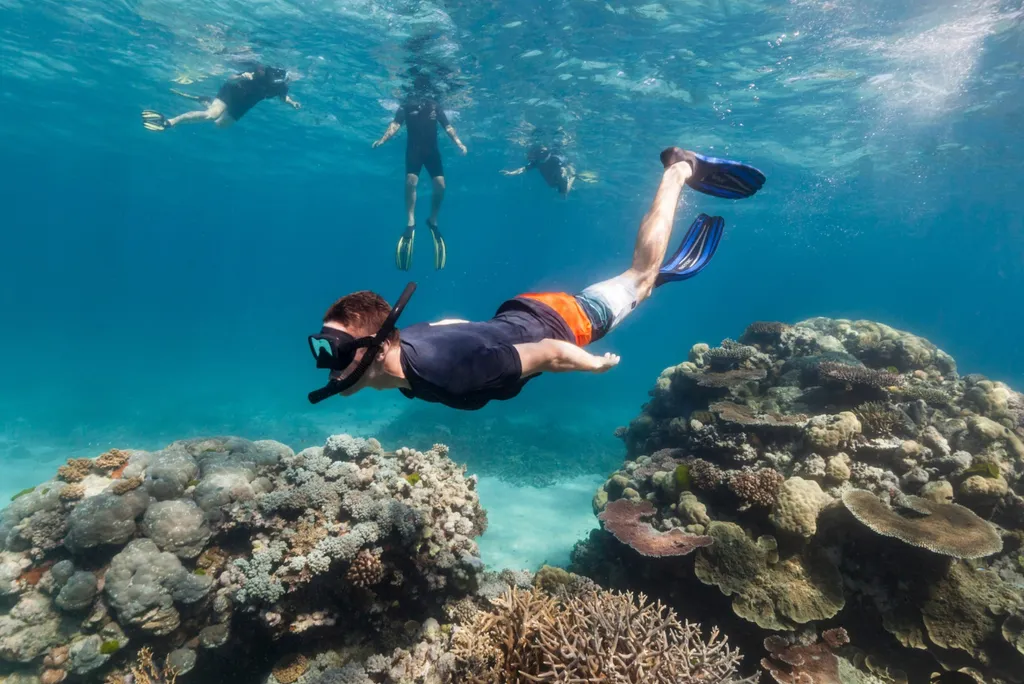 Snorkelling