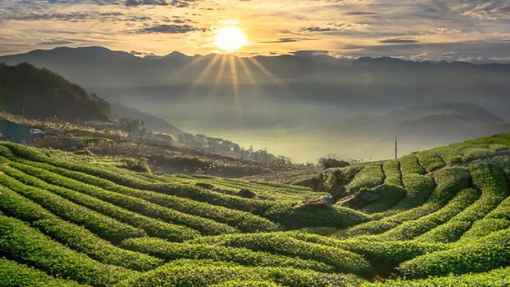 Coorg