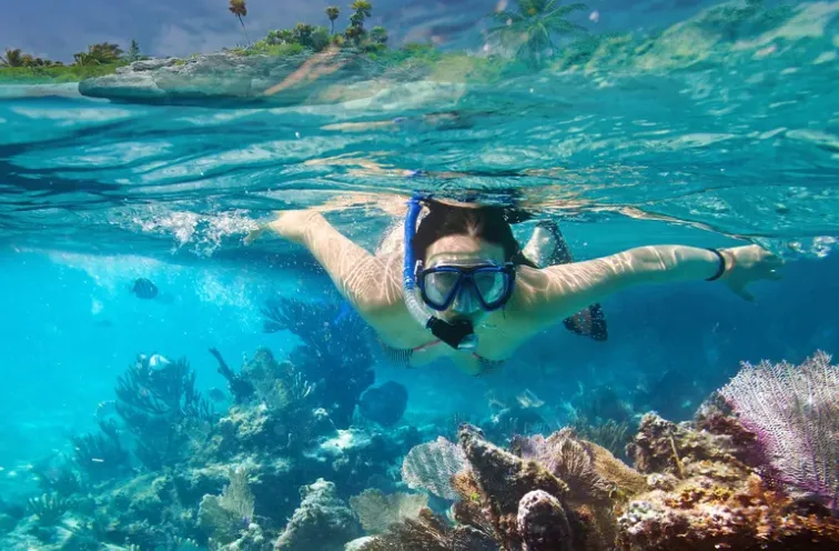 Snorkelling