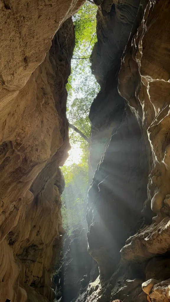 Garden of Caves