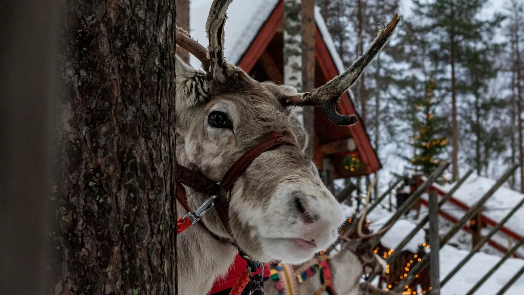 Finland - New Year