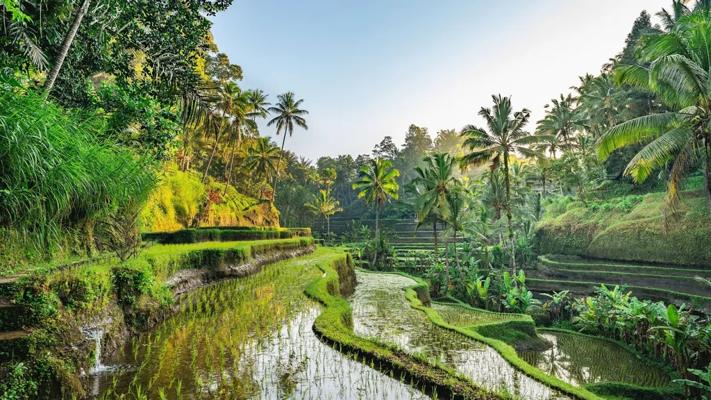 Bali - New Years