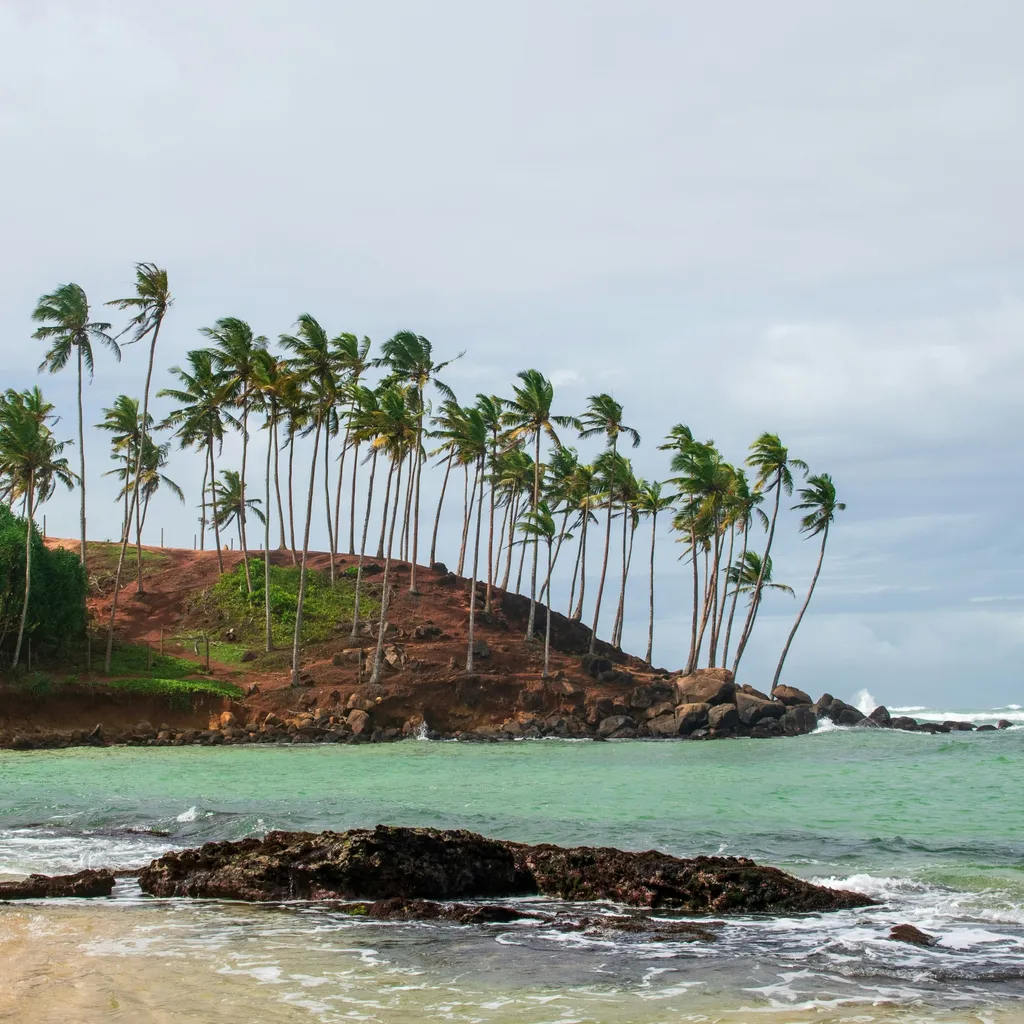 Coconut Hill